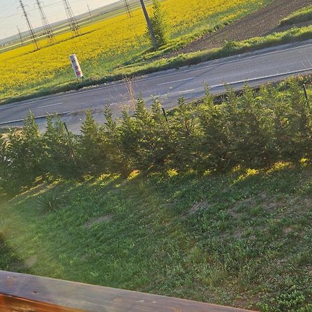 Pensiunea Camelia Baia Zewnętrze zdjęcie