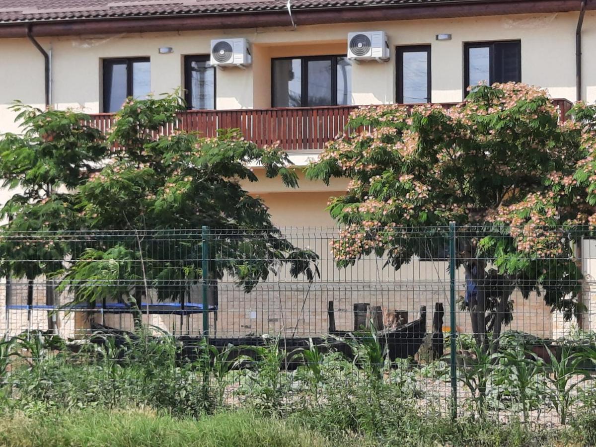 Pensiunea Camelia Baia Zewnętrze zdjęcie
