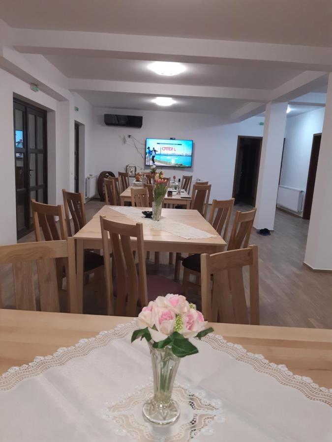 Pensiunea Camelia Baia Zewnętrze zdjęcie