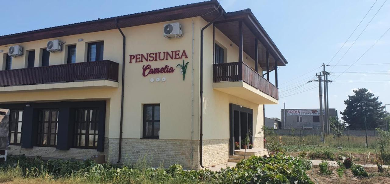Pensiunea Camelia Baia Zewnętrze zdjęcie