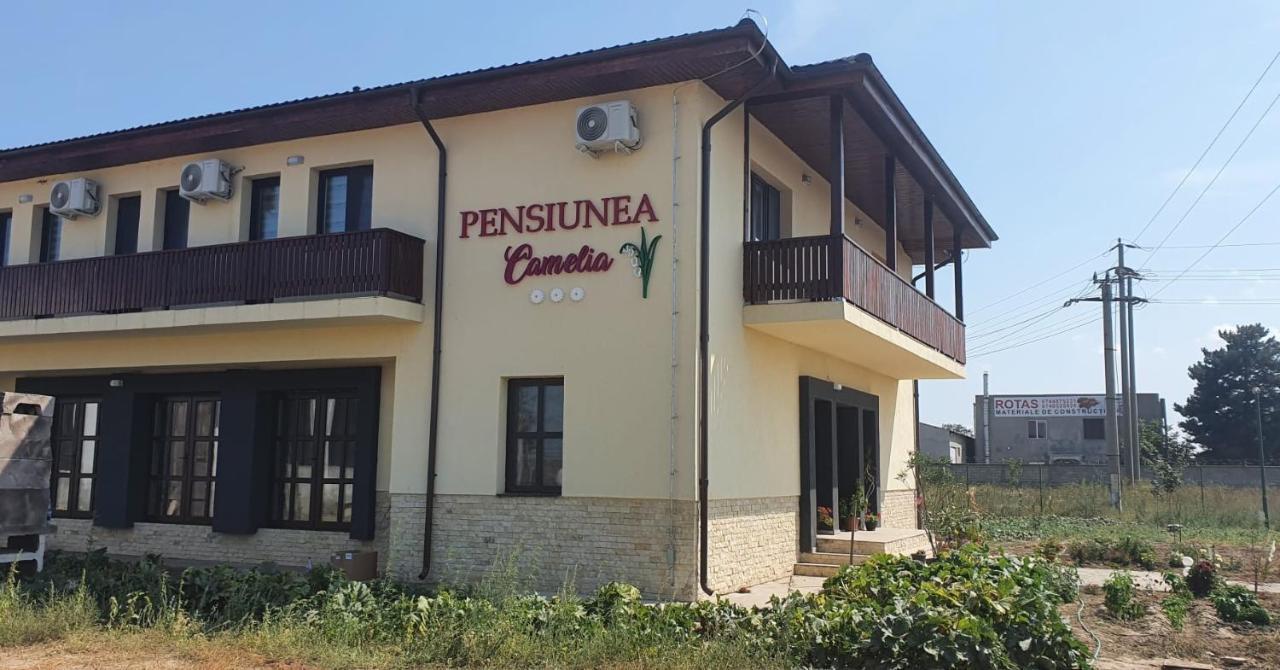Pensiunea Camelia Baia Zewnętrze zdjęcie