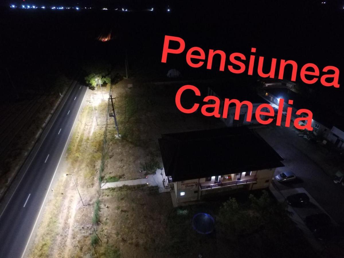 Pensiunea Camelia Baia Zewnętrze zdjęcie