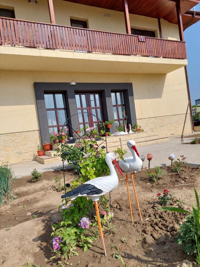 Pensiunea Camelia Baia Zewnętrze zdjęcie